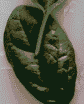 InteriroPick